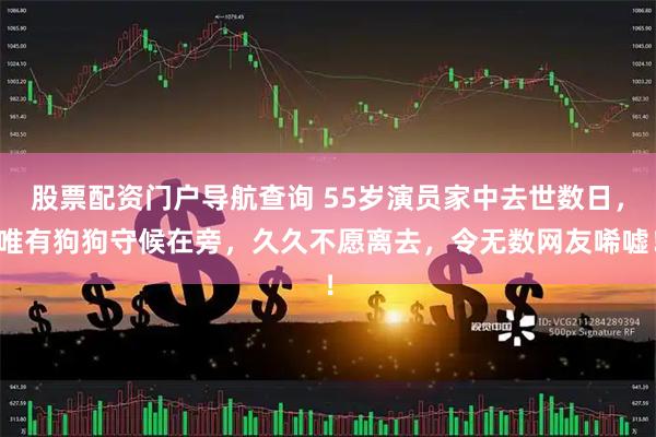 股票配资门户导航查询 55岁演员家中去世数日，唯有狗狗守候在旁，久久不愿离去，令无数网友唏嘘！