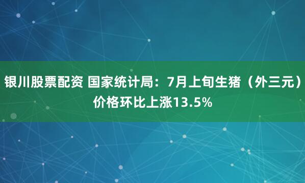 银川股票配资 国家统计局：7月上旬生猪（外三元）价格环比上涨13.5%